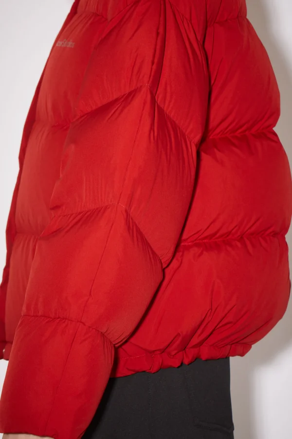 Pufferjacke Mit Daunen>Acne Studios Flash Sale